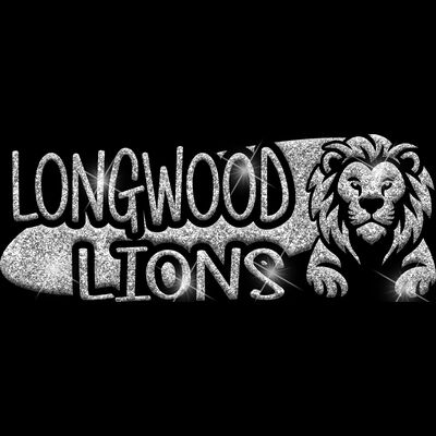 GLT100 SILVER GLITTER Thumbnail